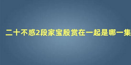 二十不惑2段家宝殷赏在一起是哪一集