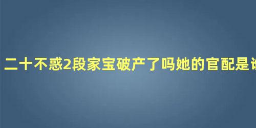 二十不惑2段家宝破产了吗她的官配是谁