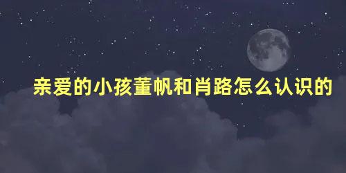 亲爱的小孩董帆和肖路怎么认识的