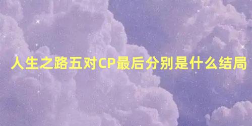 人生之路五对CP最后分别是什么结局