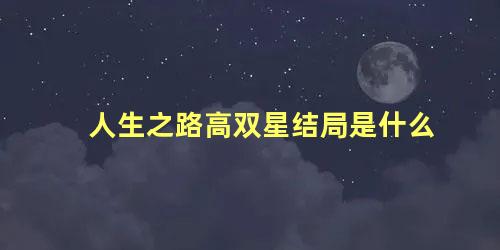 人生之路高双星结局是什么