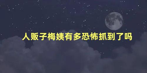 人贩子梅姨有多恐怖抓到了吗