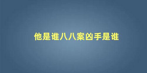 他是谁八八案凶手是谁