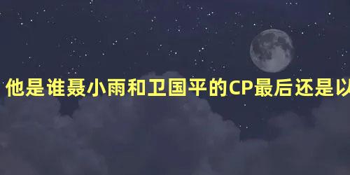 他是谁聂小雨和卫国平的CP最后还是以BE收场