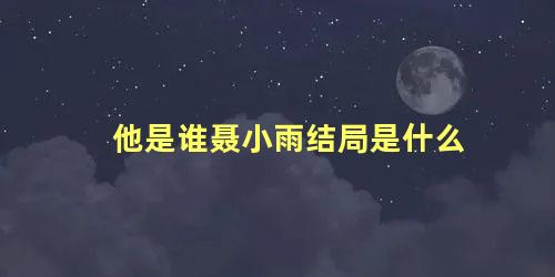 他是谁聂小雨结局是什么