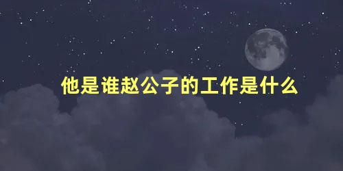 他是谁赵公子的工作是什么