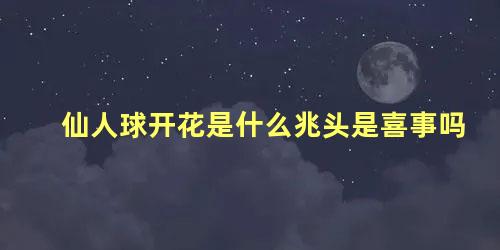 仙人球开花是什么兆头是喜事吗