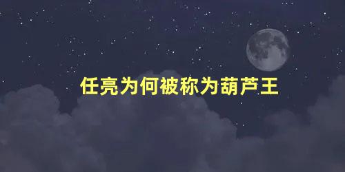 任亮为何被称为葫芦王