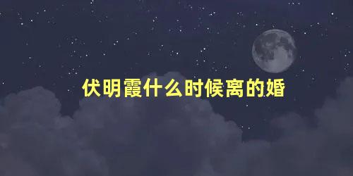 伏明霞什么时候离的婚