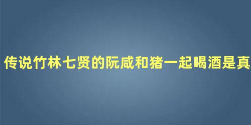 传说竹林七贤的阮咸和猪一起喝酒是真的吗