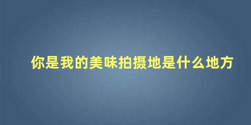 你是我的美味拍摄地是什么地方