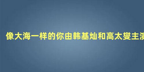 像大海一样的你由韩基灿和高太燮主演