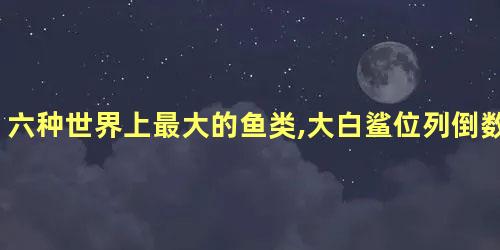 六种世界上最大的鱼类,大白鲨位列倒数第一