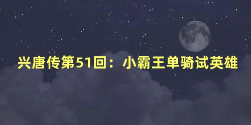 兴唐传第51回：小霸王单骑试英雄