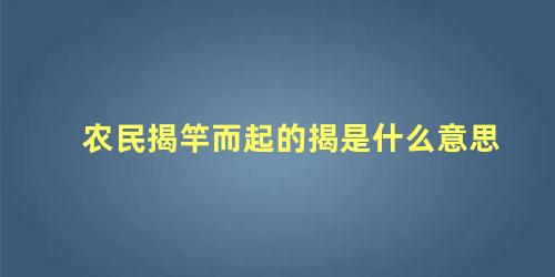 农民揭竿而起的揭是什么意思