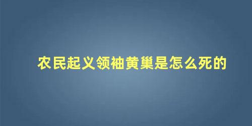 农民起义领袖黄巢是怎么死的