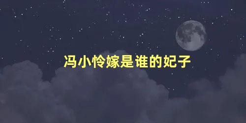 冯小怜嫁是谁的妃子