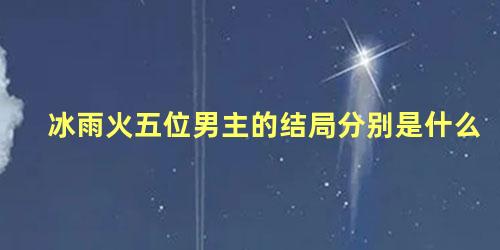 冰雨火五位男主的结局分别是什么