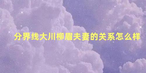 分界线大川柳眉夫妻的关系怎么样