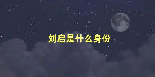 刘启是什么身份