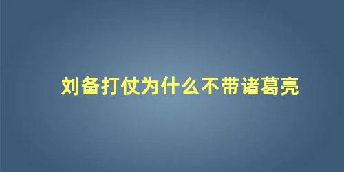 刘备打仗为什么不带诸葛亮