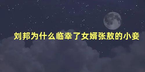 刘邦为什么临幸了女婿张敖的小妾