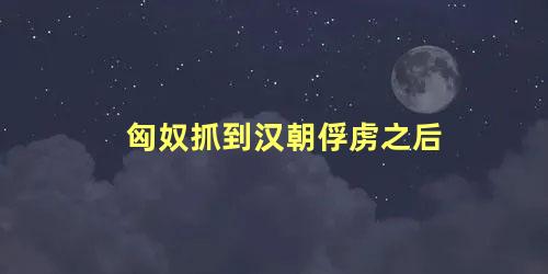 匈奴抓到汉朝俘虏之后