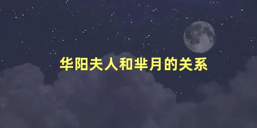 华阳夫人和芈月的关系