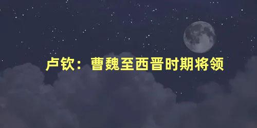 卢钦：曹魏至西晋时期将领