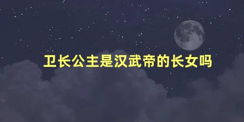 卫长公主是汉武帝的长女吗