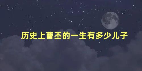 历史上曹丕的一生有多少儿子