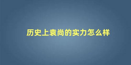 历史上袁尚的实力怎么样