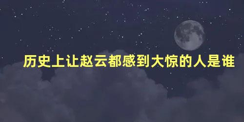 历史上让赵云都感到大惊的人是谁