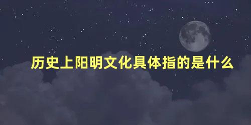 历史上阳明文化具体指的是什么