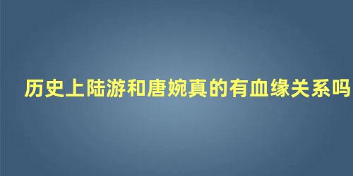 历史上陆游和唐婉真的有血缘关系吗