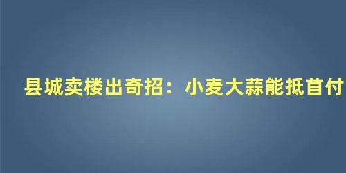 县城卖楼出奇招：小麦大蒜能抵首付