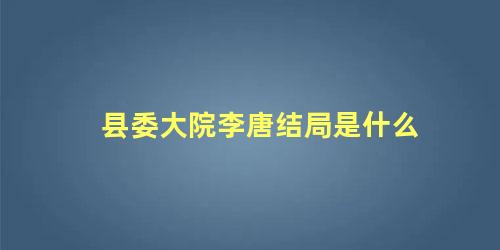 县委大院李唐结局是什么