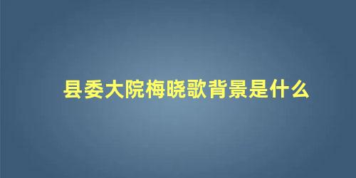 县委大院梅晓歌背景是什么