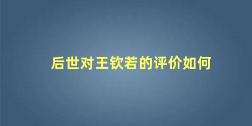 后世对王钦若的评价如何