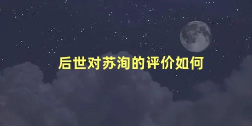 后世对苏洵的评价如何