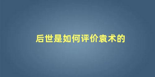 后世是如何评价袁术的