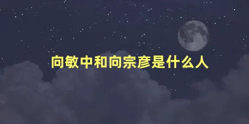 向敏中和向宗彦是什么人