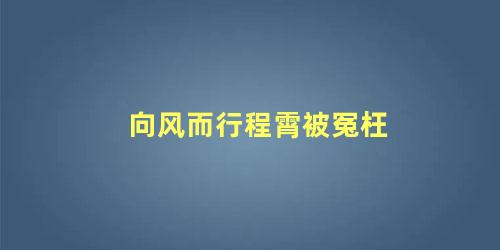 向风而行程霄被冤枉