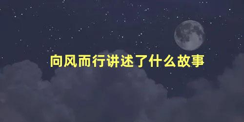 向风而行讲述了什么故事