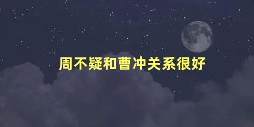 周不疑和曹冲关系很好