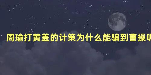 周瑜打黄盖的计策为什么能骗到曹操呢