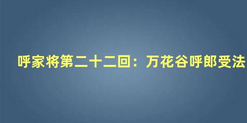 呼家将第二十二回：万花谷呼郎受法