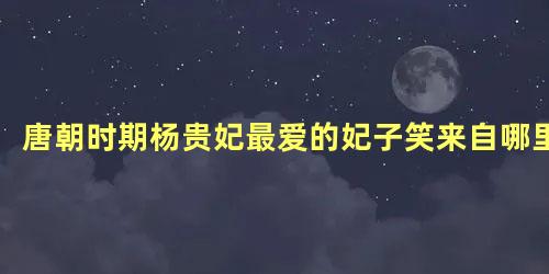 唐朝时期杨贵妃最爱的妃子笑来自哪里