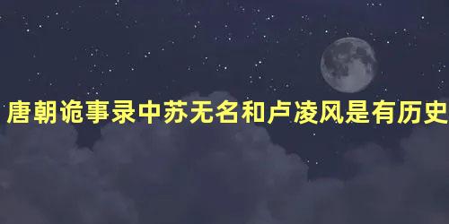 唐朝诡事录中苏无名和卢凌风是有历史原型的吗