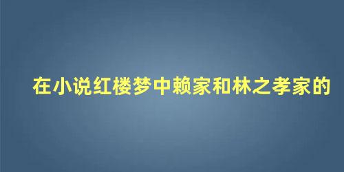 在小说红楼梦中赖家和林之孝家的